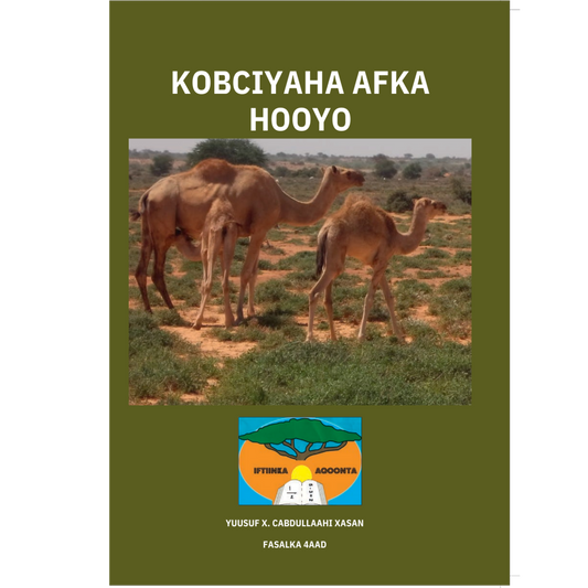 Kobciyaha afka hooyo