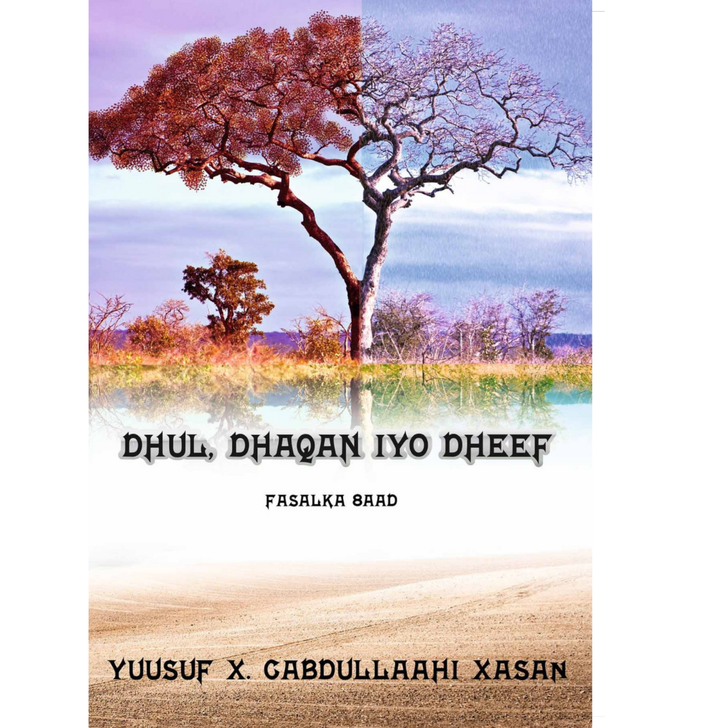 Dhul dhaqan iyo dheef